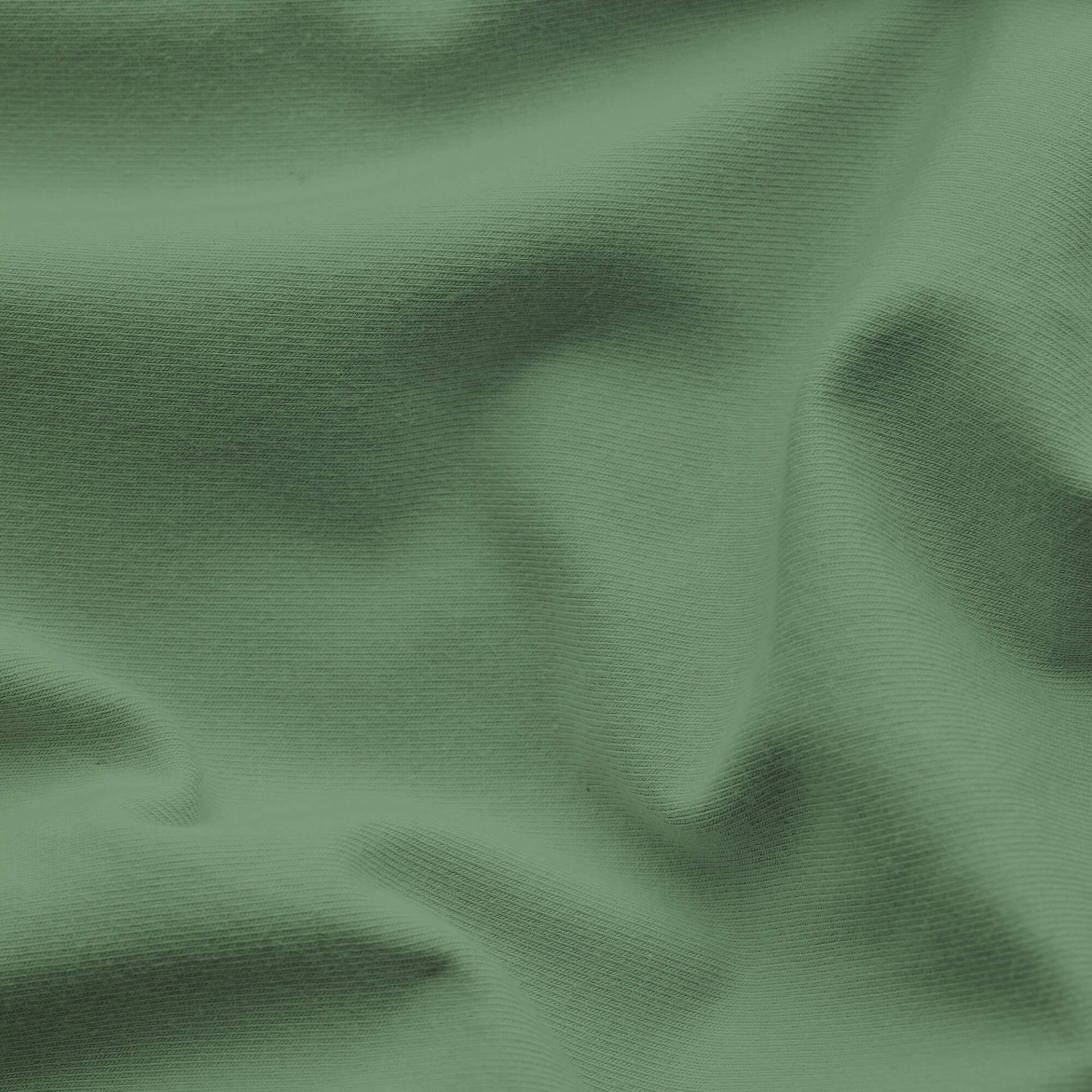Spannbettlaken Easy Elasthan von Schlafgut in Farbe green mid aus Baumwolle und Elasthan Stoff
